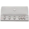 Blaze 40" 5 Burner Built-in Grill, Rear Burner And Lighting System - BLZ-5LTE2