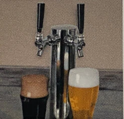 Twin Eagles Twin Tap Built-in Beer Keg Dispenser - TEBK242