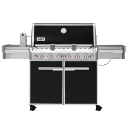 Weber Summit E-670 Black Grill, Sear Burner